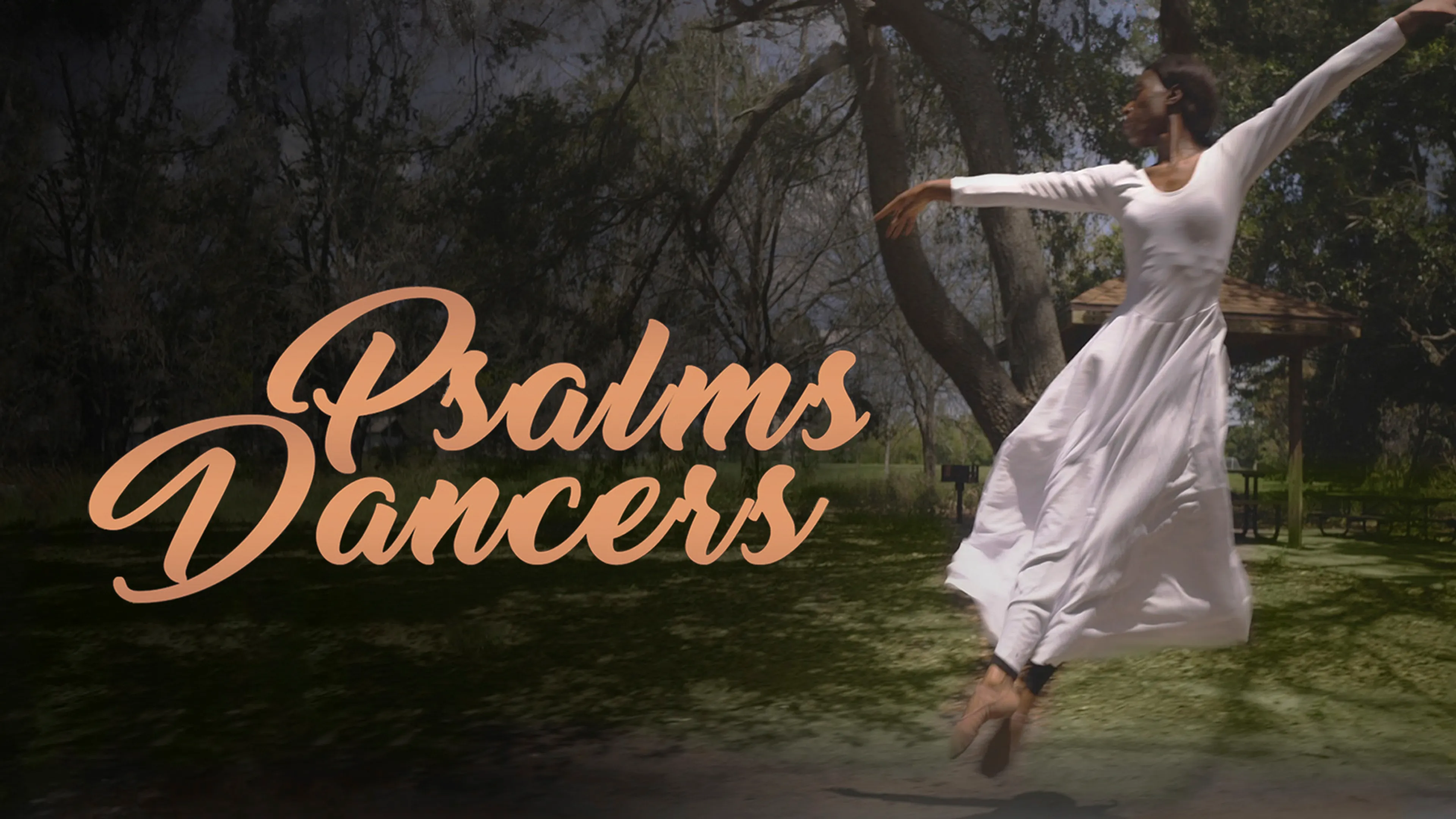 Psalms Dancers poster